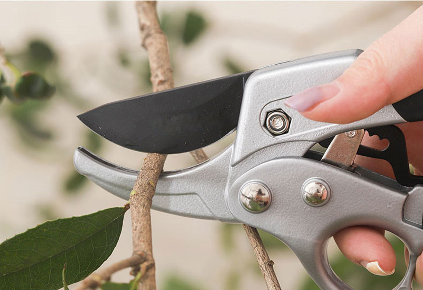 SK5 Steel Garden Pruning Shears Cutter Scissor Trees Flowers Branch Pruner