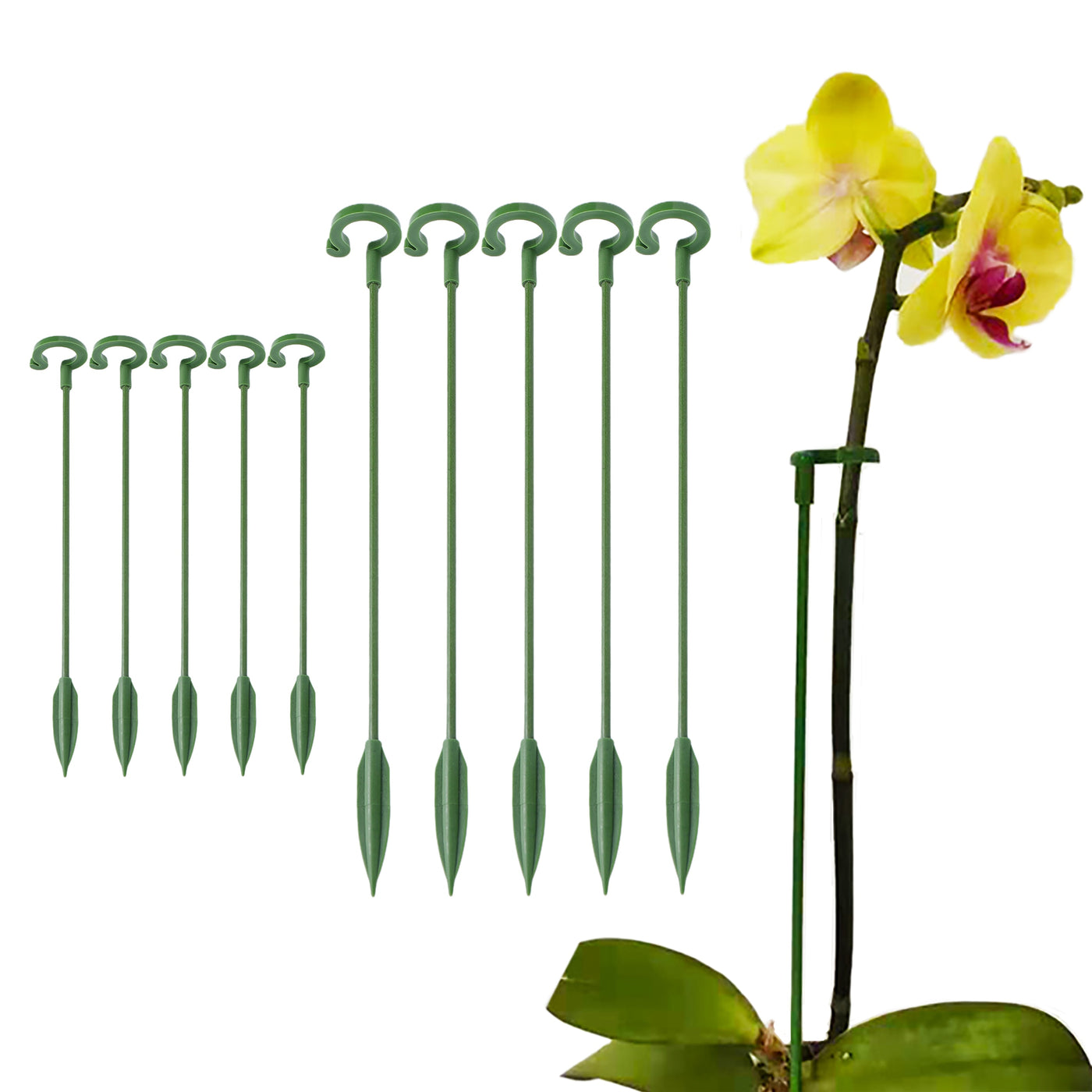 Garden Plant Stake Support Single Stem Support Rings Plant Twist Ties