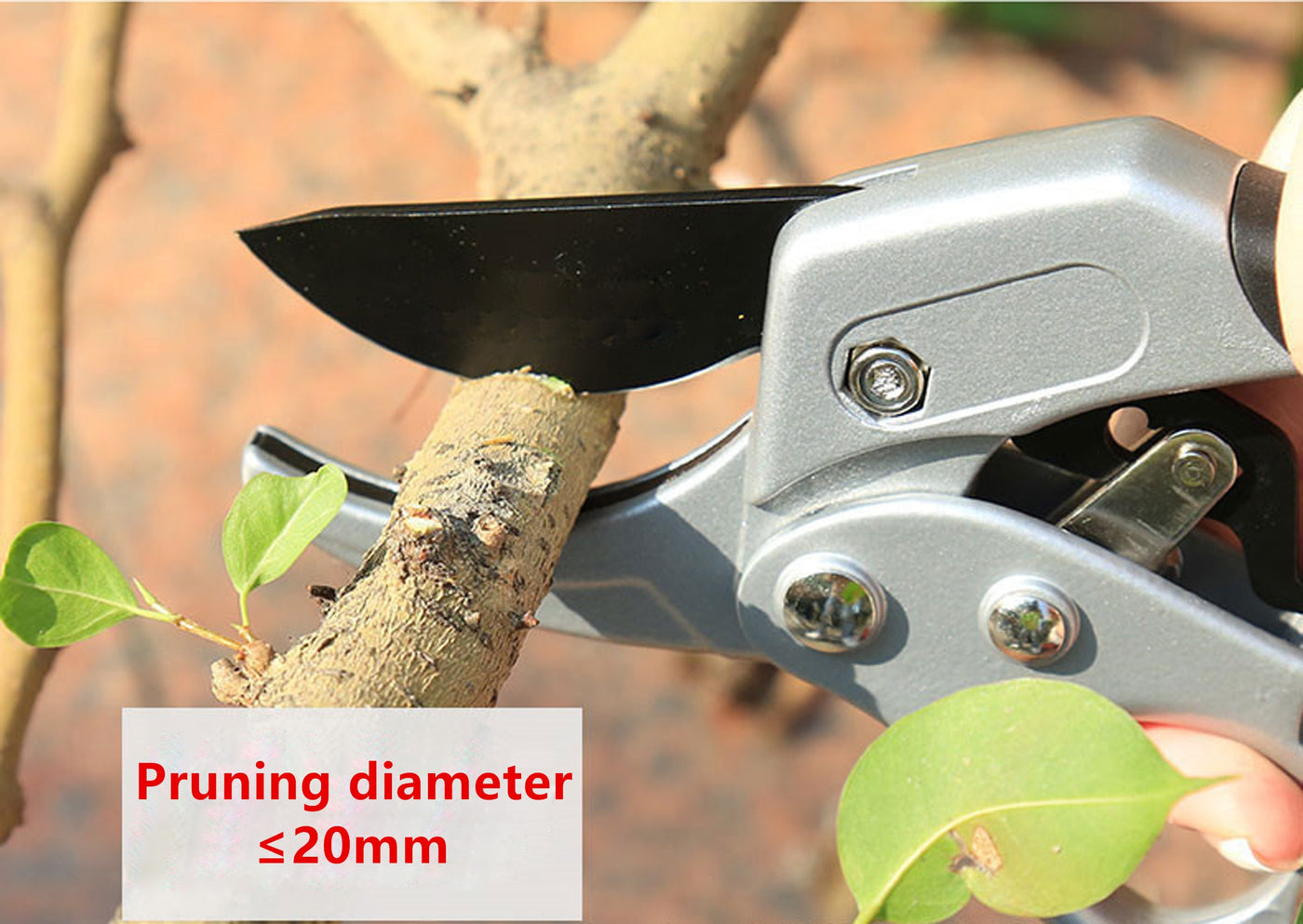 SK5 Steel Garden Pruning Shears Cutter Scissor Trees Flowers Branch Pruner