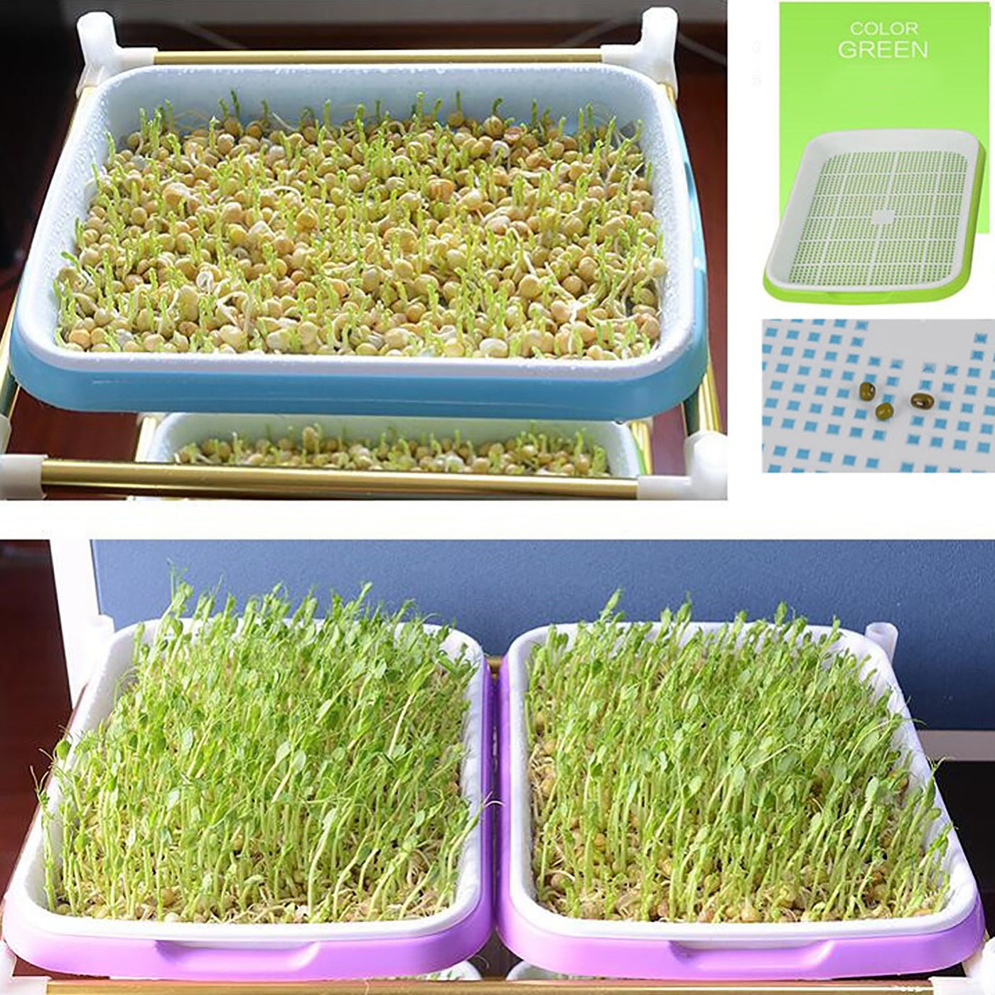 Double Layer Sprouting Tray Pea Mung Bean Peanut Wheat Hydroponic Seedling Sprout Plate