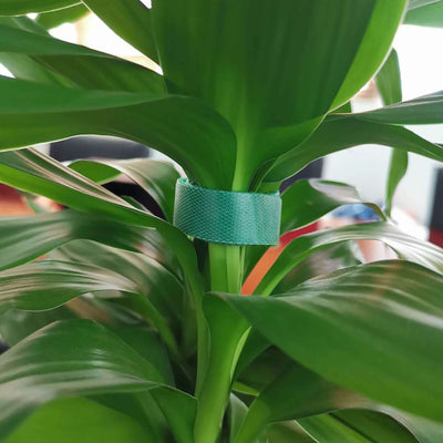 1m Nylon Plant Bundle Ties